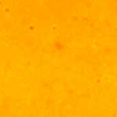 南瓜豆乳雞汁粥 顆粒示意圖